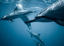 超开心！球迷赛后获得约克雷斯签名兴奋欢呼